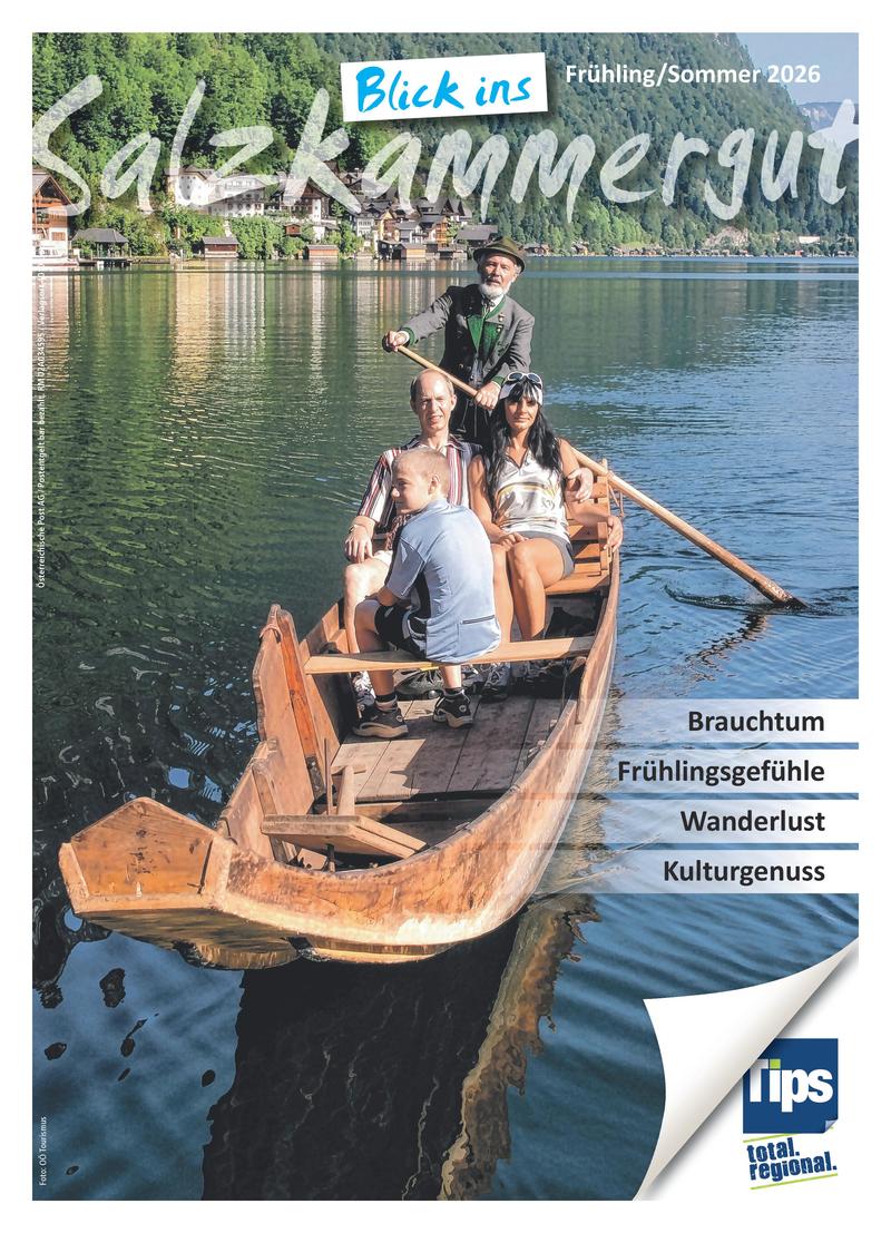 Blick ins Salzkammergut